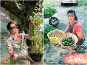 Tuổi xế chiều, nghệ sĩ Chiều Xuân, Thanh Thanh Hiền về vườn trồng rau, hưởng thú vui điền viên