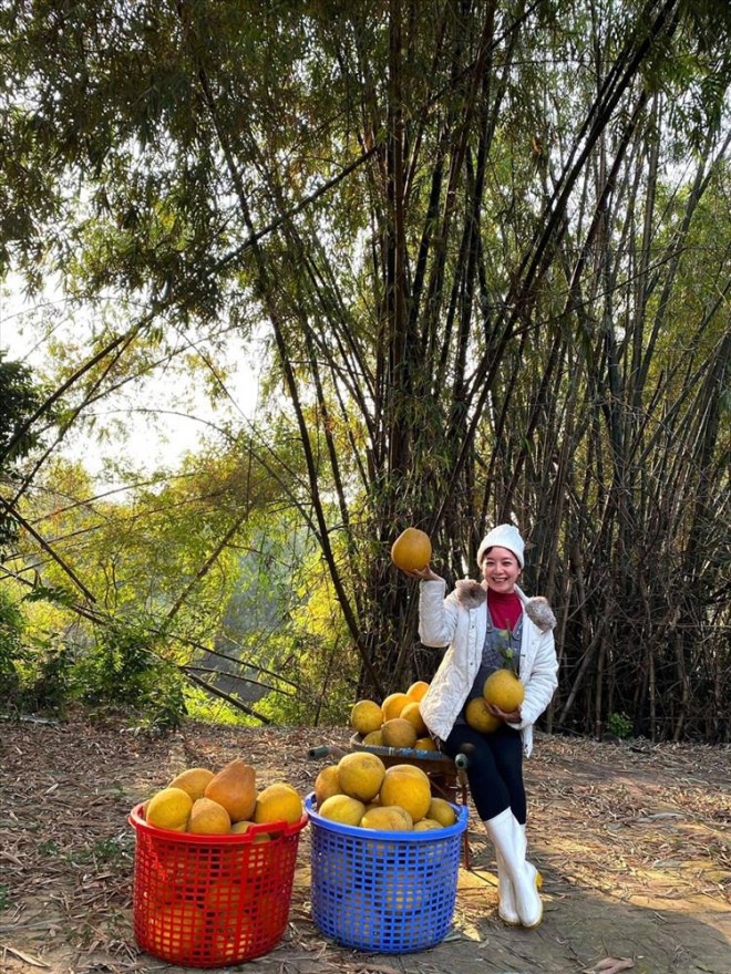 Tuổi xế chiều, nghệ sĩ Chiều Xuân, Thanh Thanh Hiền về vườn trồng rau, hưởng thú vui điền viên - 15