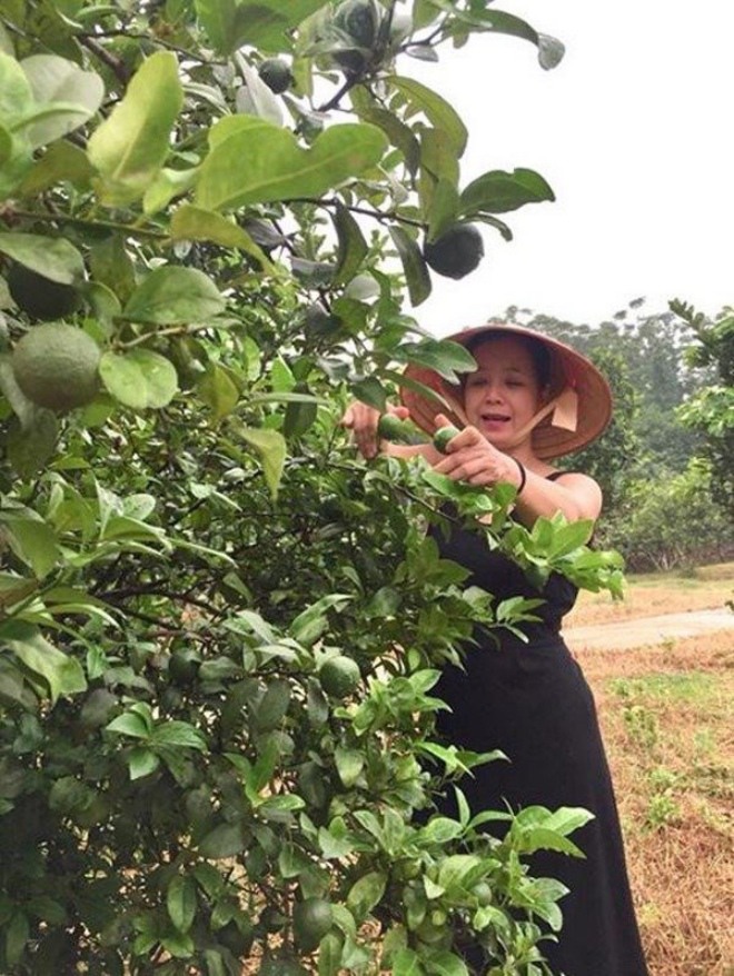 Tuổi xế chiều, nghệ sĩ Chiều Xuân, Thanh Thanh Hiền về vườn trồng rau, hưởng thú vui điền viên - 14