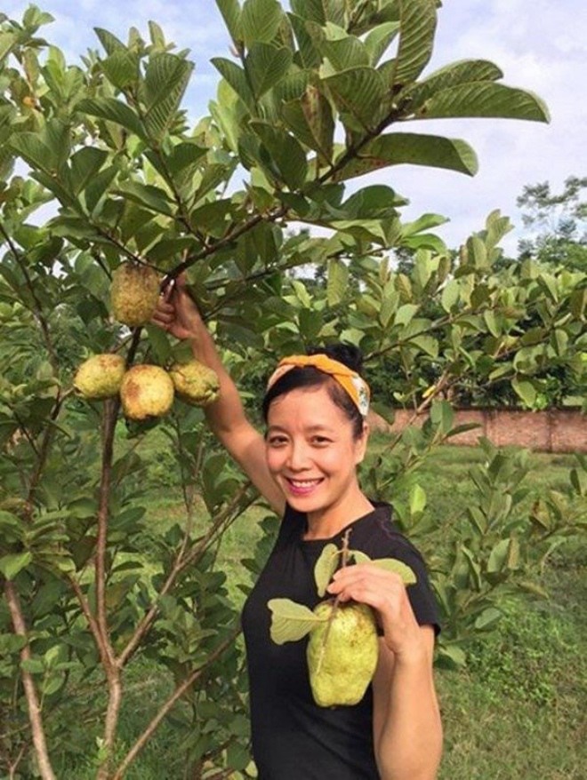 Tuổi xế chiều, nghệ sĩ Chiều Xuân, Thanh Thanh Hiền về vườn trồng rau, hưởng thú vui điền viên - 10