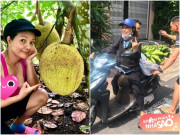 Tuổi trẻ lăn lộn trong showbiz, về già Siu Black, Kiều Trinh chọn về quê xây nhà, làm nông dân