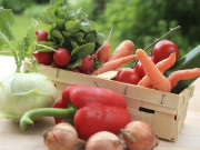 Sức khỏe - Những rau củ ở vùng quê rẻ bèo nhưng "khắc tinh" chống ung thư cực tốt