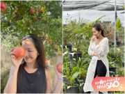 Nhà đẹp - Sống trong khu vườn ngập hoa quả, Kim Hiền ngày càng trẻ trung, đúng chuẩn "tâm sinh tướng"