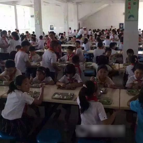 Bữa trưa học sinh tiểu học chỉ dưa chuột và trứng, giáo viên ăn cua và bạch tuộc, hiệu trưởng giải thích mới nực cười - 2