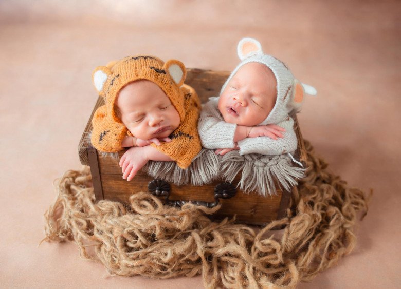  Hai nhóc tỳ nhà Tường Linh.