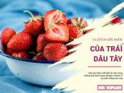 Clip Eva - Dâu Tây không chỉ thơm, ngon, ngọt và còn sở hữu 5 lợi ích lớn cho sức khỏe, không thể bỏ qua