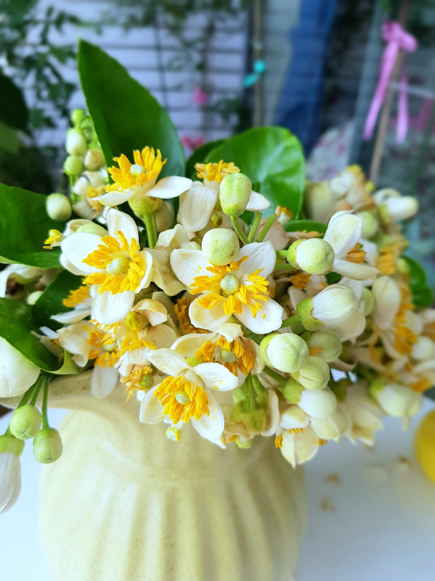 Hoa bưởi vừa mua về đã héo, làm ngay những bước này để hoa tươi lâu cả tuần, hương thơm lâu tàn - 8