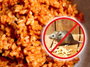 Nhà đẹp - Trong nhà nhiều chuột, kết hợp cơm nguội với ớt bột chuột ăn “thùi thụi” 2 hôm sạch bóng