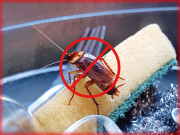 Nhà đẹp - Chuối ăn xong đừng vứt vỏ đi, chỉ cần kết hợp với muối và bột giặt, gián chết “la liệt” không dám bén mảng