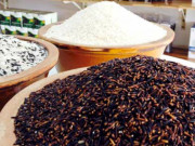Sức khỏe - Loại "gạo trường thọ" ra chợ chẳng mấy ai mua, giàu chất hơn gạo trắng, tốt hơn gạo lứt, ăn một nắm nhỏ thu lợi lớn