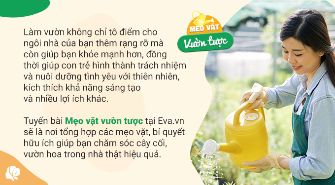 Không cần bón phân, chỉ cần tưới loại “nước tiên” này cành lá tươi xanh, hoa nở rộ tươi lâu - 1