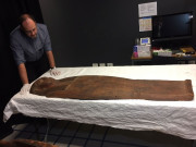 Tin tức - Xác ướp 2.500 tuổi vẫn có nhịp tim đập thình thịch và sự thật gây chấn động