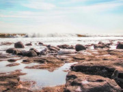 Eva tám - 7 dấu hiệu cho thấy bạn đang có một cuộc sống tuyệt vời