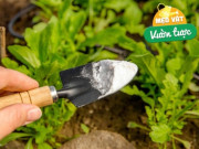 Không cần mất nhiều công sức, tưới loại nước “khắc tinh” này cỏ dại héo úa sạch bóng cả vườn