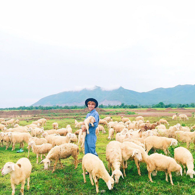Du lịch Vũng Tàu có gì chơi: 7 điểm đến amp;#34;sống ảoamp;#34; đẹp nhất Vũng Tàu, chụp ảnh đẹp không cần chỉnh sửa - 5
