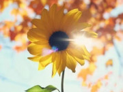 Eva tám - Ở đời, làm càng tốt 4 điều này sẽ càng có phúc