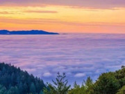 Eva tám - 4 điều người khôn ngoan học cách buông bỏ