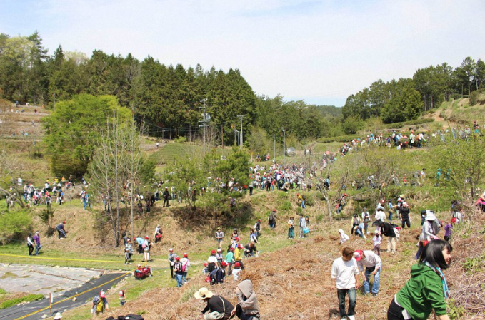 Nhật Bản: Treo thưởng 10.000 USD để bắt sinh vật huyền bí giống rắn - 4