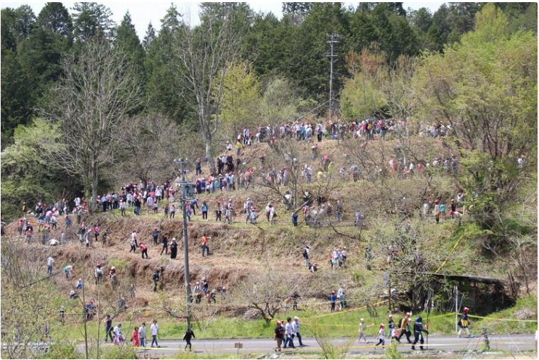 Nhật Bản: Treo thưởng 10.000 USD để bắt sinh vật huyền bí giống rắn - 5