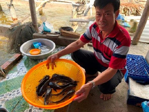 Cà Mau: Đặc sản có tên gọi “thô thiển” nhưng cực kỳ thơm ngon, ăn một lần “nhớ cả đời” - 4