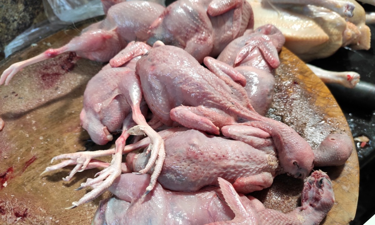 Thịt con bé tí được ví là “sâm động vật”, nấu lên ngon và bổ hơn thịt gà nhưng ít người biết ăn - 1