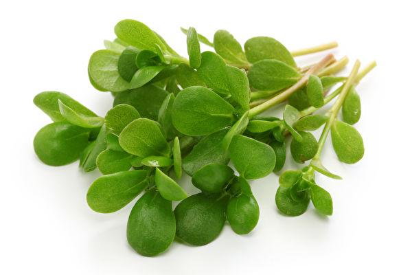 Rau sam được gọi là rau trường thọ trong văn hóa dân gian Trung Hoa cổ đại. (Ảnh minh họa)