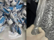 Tin tức - Pháp lý vụ 4 nữ tiếp viên hãng hàng không Vietnam Airlines vận chuyển hơn 10 kg ma túy