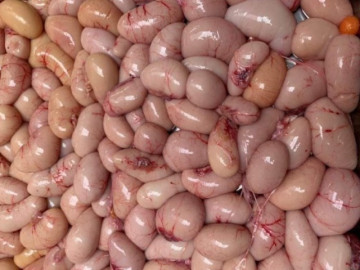 Đặc sản xưa ít ai ăn, giá rẻ bèo, nay là món vừa ngon vừa bổ dân thành phố tranh nhau, 500.000 đồng/kg