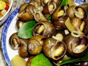 Bếp Eva - Mua ốc về đừng luộc ngay, ngâm vào đây ốc nhả sạch bùn nhớt, thêm cách luộc làm giun sán chẳng còn