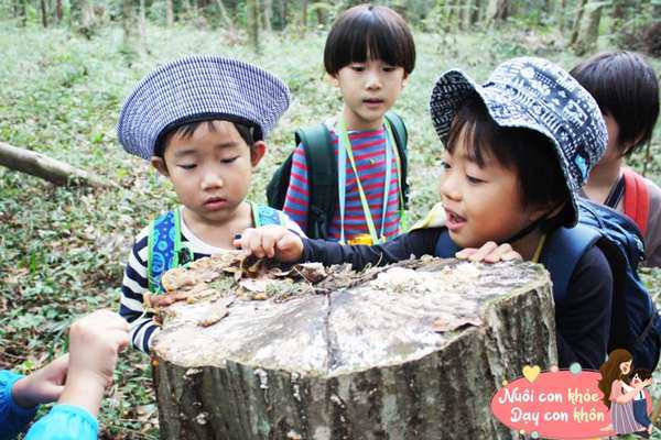 Mọi thứ cần biết về Phương pháp giáo dục sớm Montessori cho trẻ đang được nhiều mẹ Việt amp;#34;theo đuổiamp;#34; - 8