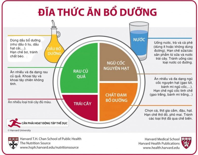 Bác sĩ khuyên ăn uống đủ chất nhưng ăn thế nào mới đủ? Nhiều người Việt ăn lắm món, nhiều cơm nhưng vẫn không ổn - 3