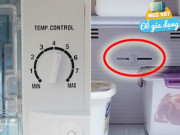 Trong tủ lạnh có 2 nút nhỏ, điều chỉnh hợp lý, tiết kiệm được rất nhiều tiền điện