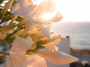 Eva tám - Cuộc đời một người sẽ ra sao, nhìn họ sau giờ tan làm là biết