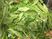 Tiêu dùng - Loại lá mọc đầy vườn tưởng không ăn được, ngờ đâu làm thành món đặc sản nổi tiếng vừa ngon vừa bổ, dân thành phố "săn lùng"