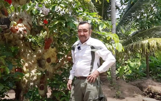 Chú Sơn – chủ nhân của “cây thần đèn” tiết lộ đây là cây cổ mộc bằng lăng có tuổi đời hơn 300 năm và dáng thế độc đáo không loài cảnh nào có thể sánh bằng.