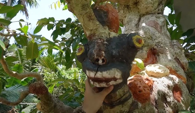 Một phần của cây cổ tạo cảm giác huyền bí.