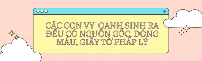 Vy Oanh kể lại khoảng thời gian mẹ và 3 con bị dồn ép tới đường cùng, khẳng định các con sinh ra đều có nguồn gốc - 8