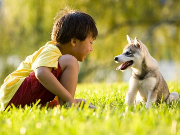 Hay chơi với chó mèo, bé trai tử vong sau một tháng con chó của gia đình nuôi đột ngột chết