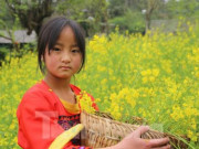 Clip Eva - Say đắm cảnh đẹp Lai Châu lúc giao mùa