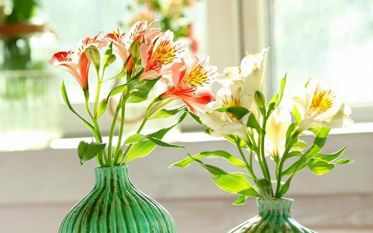 3 loại cây “hoa nở người héo”, trong nhà nếu đang trồng nên dọn ngay kẻo thiệt thân - 4