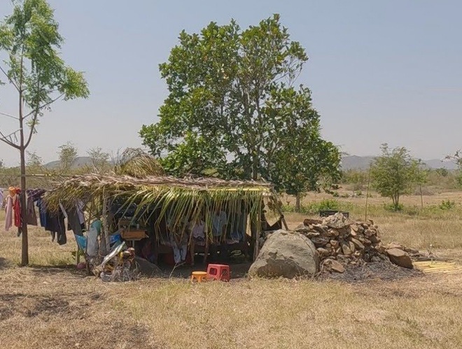 Chú Tuấn vừa sửa sang lại căn nhà bằng những tàu dừa.