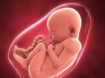 Phụ nữ mang thai đừng tiếc vài phút đọc bài để con phát triển tốt