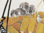 Eva tám - 3 con giáp thông minh có năng lực, càng giàu có, vượng phúc sau kết hôn