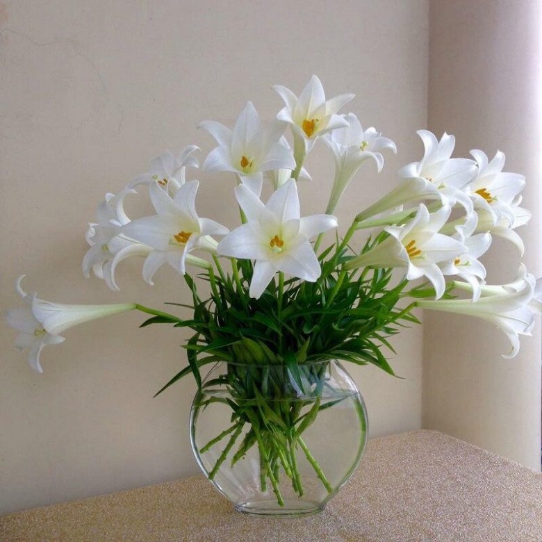 Trong nhà có 4 loại hoa này, đẹp thì đẹp nhưng giấc ngủ ngày càng kém, sức khỏe xuống dốc - 4