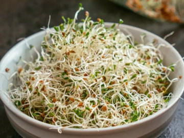 4 loại rau ăn khi nảy mầm tốt cho sức khỏe hơn cả lúc trưởng thành, chống độc tố môi trường và ngăn ngừa ung thư