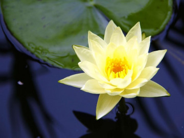 4 biểu hiện của người ngày càng có phúc