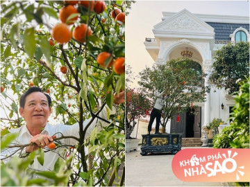 Danh hài Quang Tèo trồng cam canh sai trĩu trịt trong biệt phủ 1.000m2, ai đến cũng mời mà mãi chưa hết quả