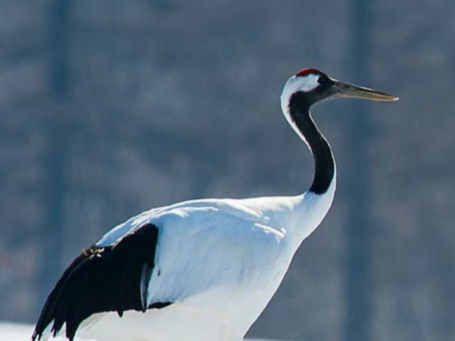 Áo ngắn với quần cộc: Kiểu mix trang phục của các cô gái này không hợp ra đường - Sửa - 11