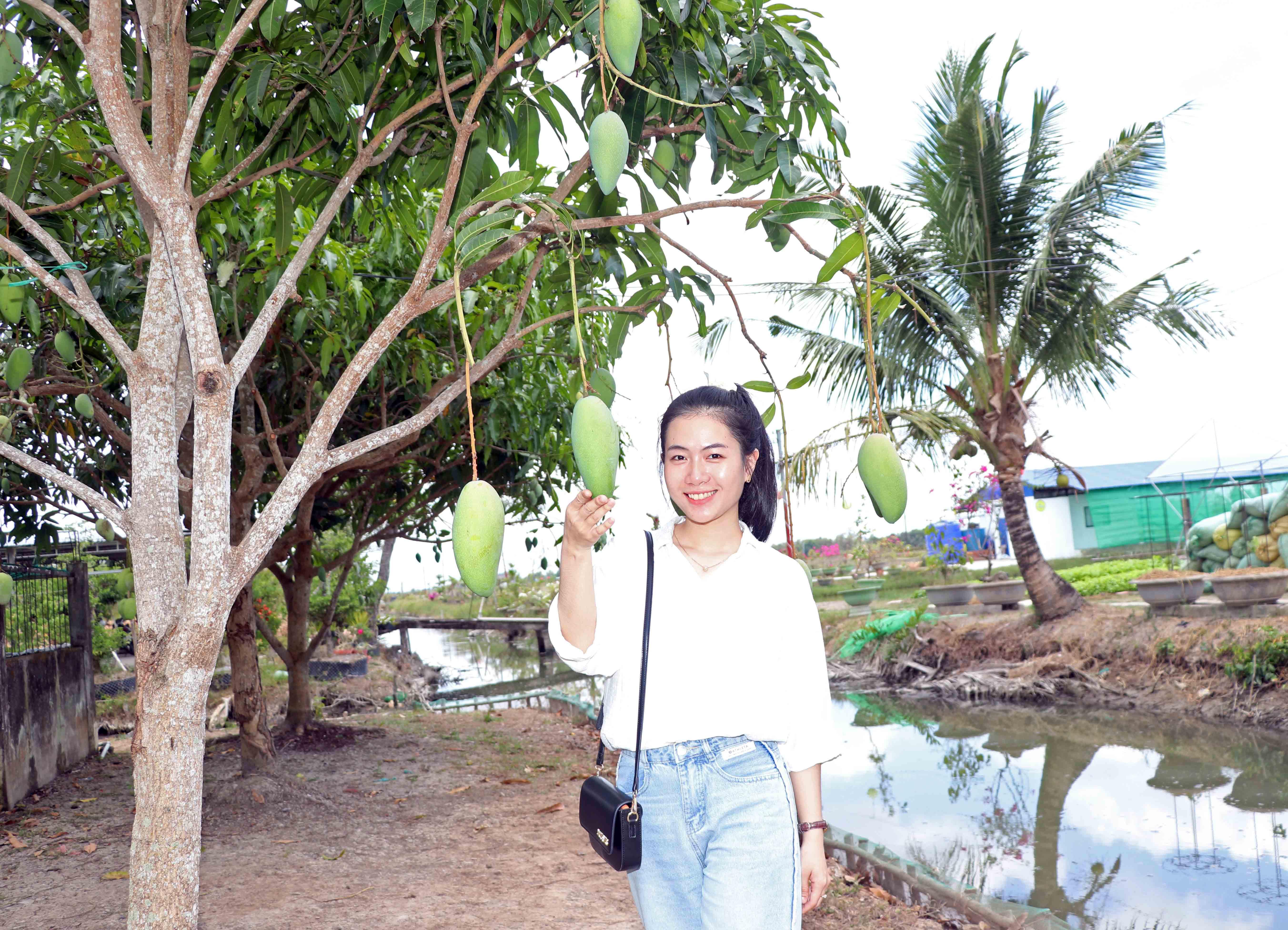 Nói về dự định trong tương lai, chị Thảo cho hay, sẽ mở rộng thêm diện tích và trồng thêm các loại cây ăn trái như xoài, ổi, táo... để du khách có nhiều hơn sự lựa chọn.