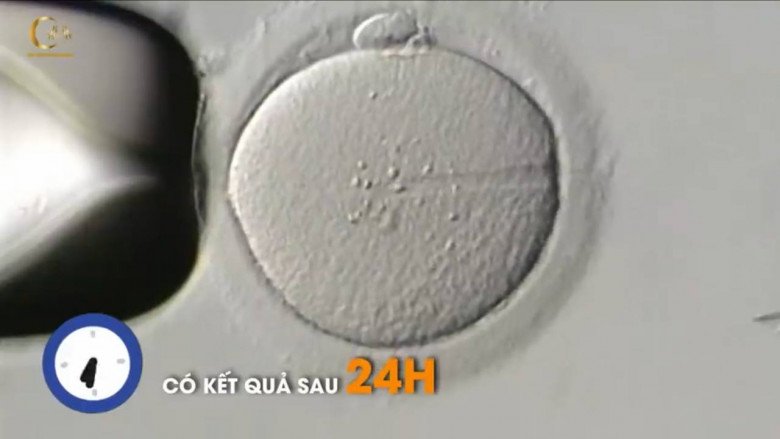 Hành trình IVF của Minh Hằng: Kích được 26 trứng nhưng chỉ có 1 phôi chất lượng, mắc sai lầm phải cầu cứu bác sĩ - 5